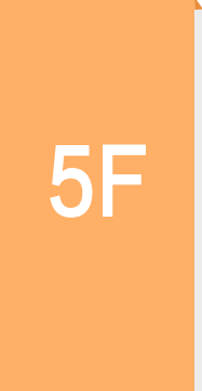 网络/传媒/汽摩